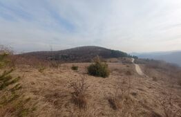 Teren extravilan, 12000 mp, curent com. Ramet