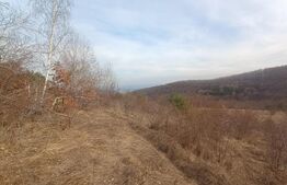 Teren extravilan, 12000 mp, curent com. Ramet