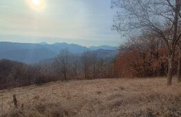 Teren extravilan, 12000 mp, curent com. Ramet