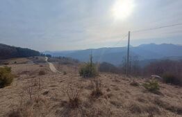 Teren extravilan, 12000 mp, curent com. Ramet