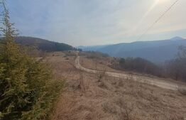 Teren extravilan, 12000 mp, curent com. Ramet