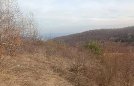 Teren extravilan, 12000 mp, curent com. Ramet