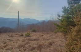 Teren extravilan, 12000 mp, curent com. Ramet