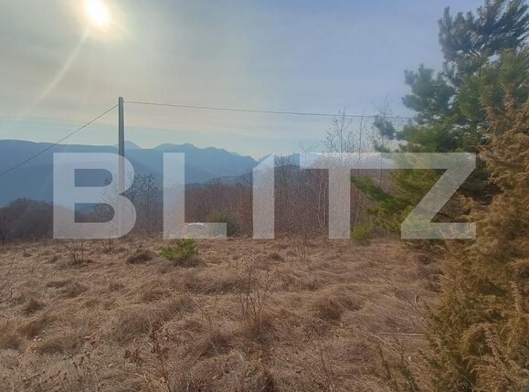 Teren de vânzare Exterior Nord - 175996TV | BLITZ Alba Iulia | Poza6