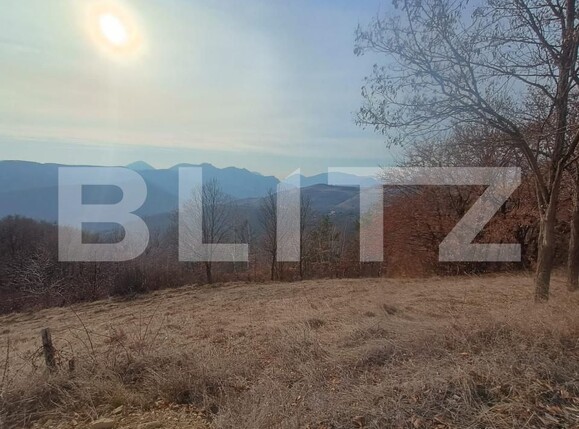 Teren de vânzare Exterior Nord - 175996TV | BLITZ Alba Iulia | Poza1