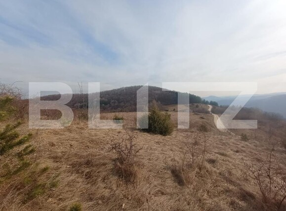 Teren de vânzare Exterior Nord - 175996TV | BLITZ Alba Iulia | Poza5