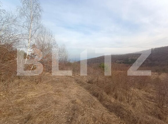 Teren de vânzare Exterior Nord - 175996TV | BLITZ Alba Iulia | Poza3