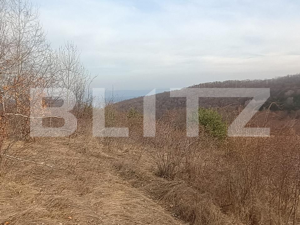 Teren de vânzare Exterior Nord - 175996TV | BLITZ Alba Iulia | Poza2