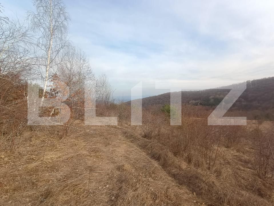 Teren de vânzare Exterior Nord - 175996TV | BLITZ Alba Iulia | Poza3