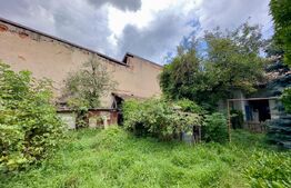 Casă cu potențial investițional, aproape de Băile Sărate Ocna Mureș