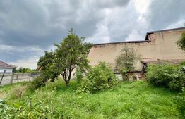 Casă cu potențial investițional, aproape de Băile Sărate Ocna Mureș
