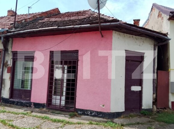 Casa de vânzare 1 camera Ocna Mures - 176039CV | BLITZ Alba Iulia | Poza2