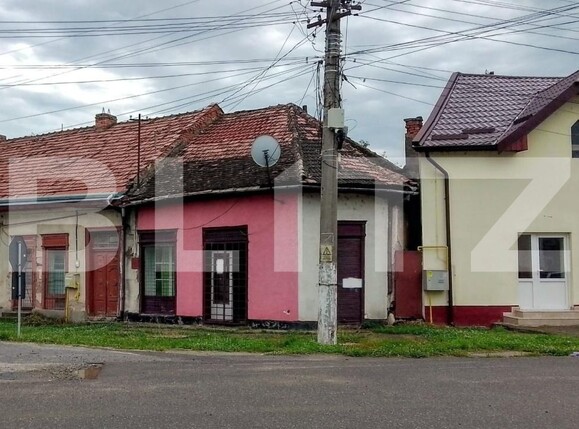 Casa de vânzare 1 camera Ocna Mures - 176039CV | BLITZ Alba Iulia | Poza1