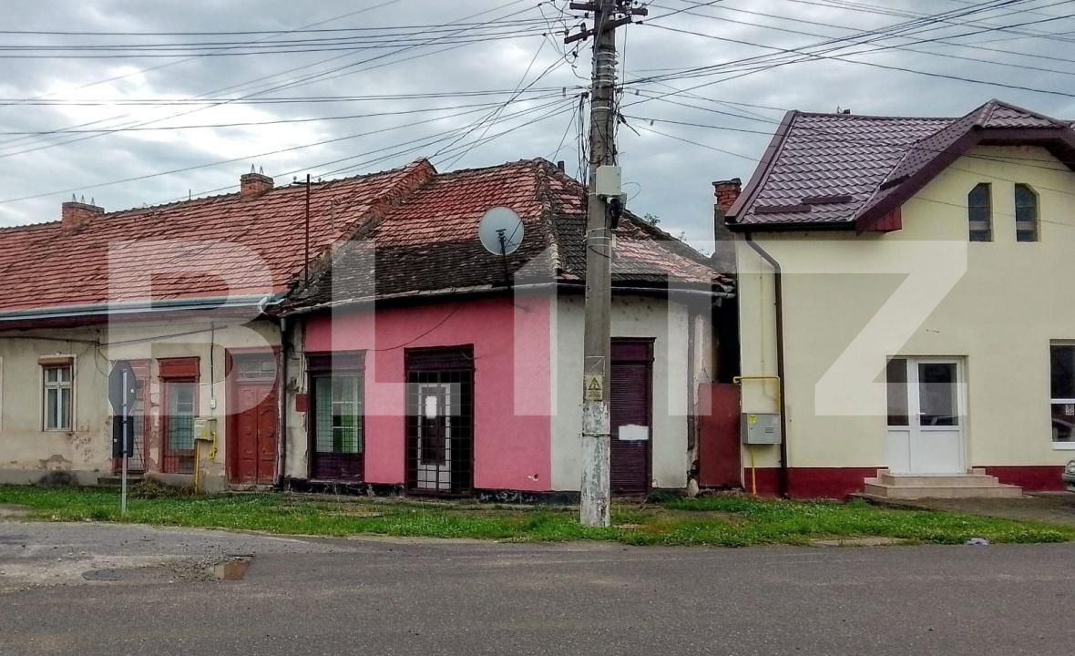 Casa de vânzare 2 camere Ocna Mures - 176039CV | BLITZ Alba Iulia | Poza2