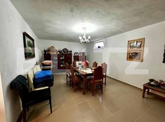 Casa de vânzare 8 camere Bărăbanț - 176168CV | BLITZ Alba Iulia | Poza16