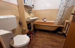 Apartament cu 2 camere decomandat,Zlatna