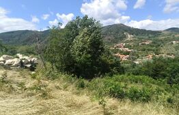 Cabana la rosu 150 mp cu teren de 3500 mp in Ampoita 