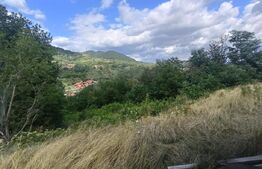 Cabana la rosu 150 mp cu teren de 3500 mp in Ampoita 