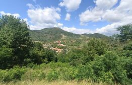 Cabana la rosu 150 mp cu teren de 3500 mp in Ampoita 