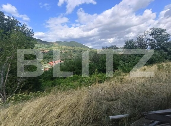 Casa de vânzare 3 camere Ampoita - 176312CV | BLITZ Alba Iulia | Poza4