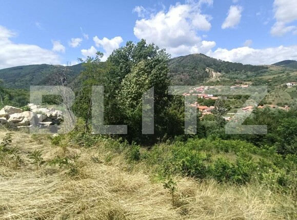 Casa de vânzare 3 camere Ampoita - 176312CV | BLITZ Alba Iulia | Poza3