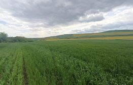 Teren extravilan 5,2 ha deschidre la DN ideal pentru industrial zona Unirea