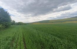 Teren extravilan 5,2 ha deschidre la DN ideal pentru industrial zona Unirea