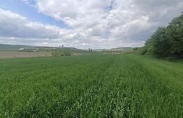 Teren extravilan 5,2 ha deschidre la DN ideal pentru industrial zona Unirea