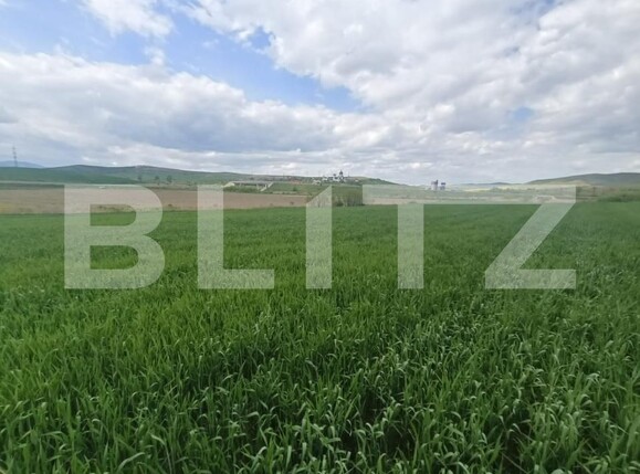 Teren de vânzare Unirea - 176835TV | BLITZ Alba Iulia | Poza1