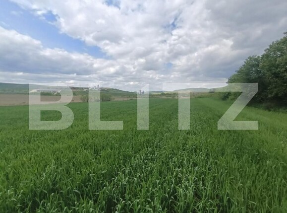 Teren de vânzare Unirea - 176835TV | BLITZ Alba Iulia | Poza3