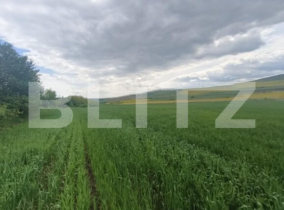 Teren de vânzare Unirea - 176835TV | BLITZ Alba Iulia | Poza2