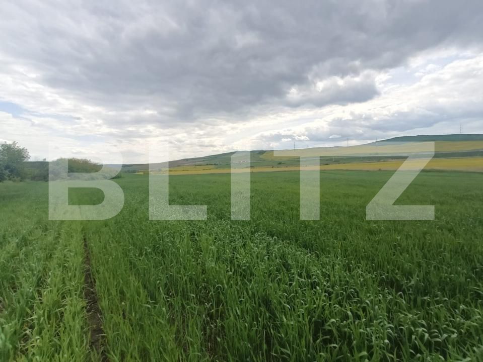 Teren de vânzare Unirea - 176835TV | BLITZ Alba Iulia | Poza4