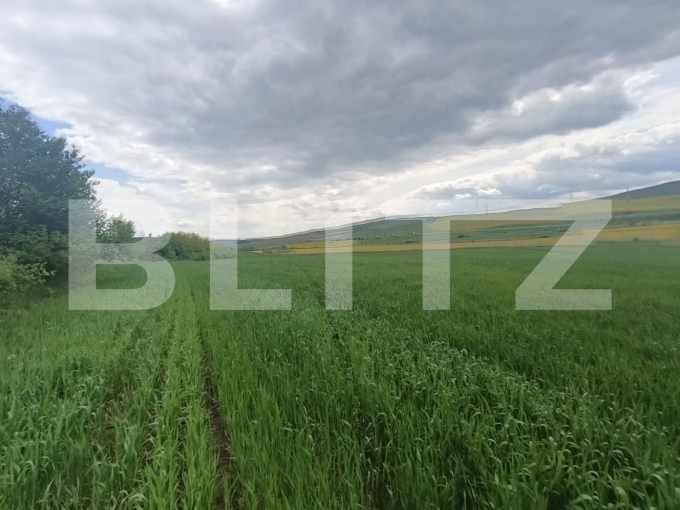 Teren de vânzare Unirea - 176835TV | BLITZ Alba Iulia | Poza2