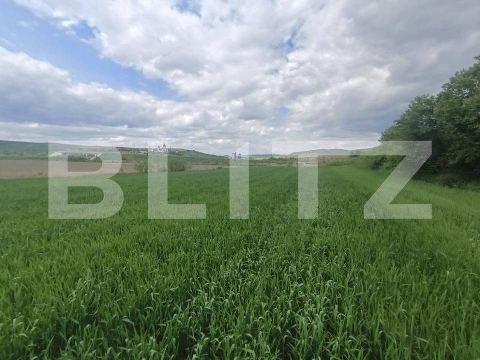 Teren de vânzare Unirea - 176835TV | BLITZ Alba Iulia | Poza3