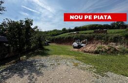 Teren intravilan la sosea asfaltata, 2500 mp, zona Sard