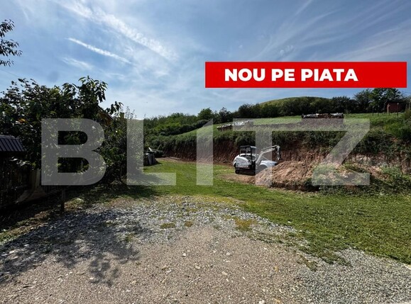 Teren de vânzare Sard - 177004TV | BLITZ Alba Iulia | Poza1