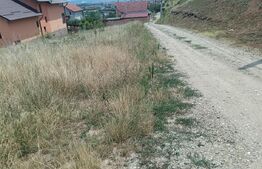 Teren intravilan  1000 mp in Micesti