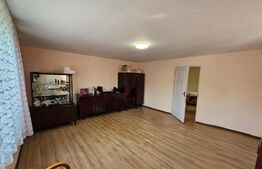 Casă individuală cu 2 camere de vânzare, Ciunga, Ocna Mures