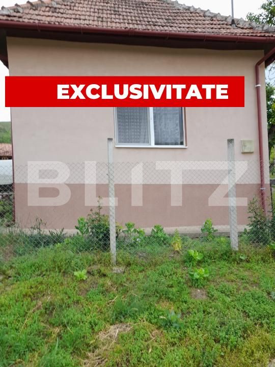 Casa de vânzare 2 camere Ocna Mures - 177411CV | BLITZ Alba Iulia | Poza2
