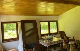 Cabană cu 4 camere, zona Șugag - Tău – Bistra