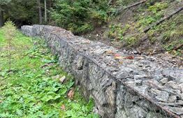 Cabană cu 4 camere, zona Șugag - Tău – Bistra