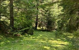 Cabană cu 4 camere, zona Șugag - Tău – Bistra