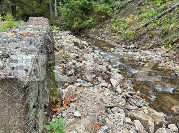 Casa de vânzare 4 camere Sugag - 177617CV | BLITZ Alba Iulia | Poza10