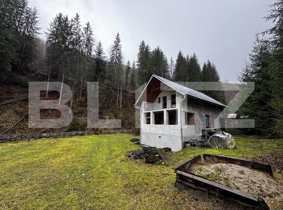 Casa de vânzare 4 camere Sugag - 177617CV | BLITZ Alba Iulia | Poza3