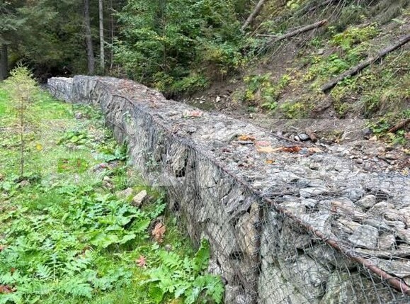 Casa de vânzare 4 camere Sugag - 177617CV | BLITZ Alba Iulia | Poza9