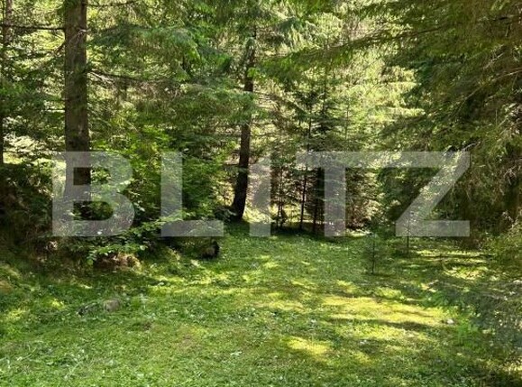 Casa de vânzare 4 camere Sugag - 177617CV | BLITZ Alba Iulia | Poza8