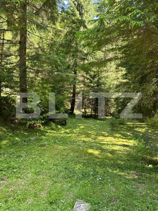 Casa de vânzare 4 camere Sugag - 177617CV | BLITZ Alba Iulia | Poza8