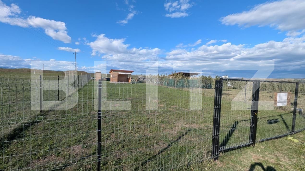 Teren de vânzare Partoș - 177797TV | BLITZ Alba Iulia | Poza2