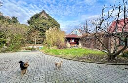 Casă pretabila pentru birouri, 5 incaperi, 210 mp, zona-Centrala