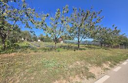 Teren de vânzare Cetate - 118202TV | BLITZ Alba Iulia | Poza3